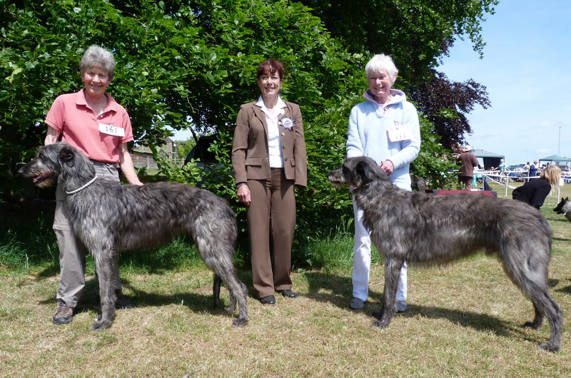 BOB & RBOB Hound Club of East Anglia